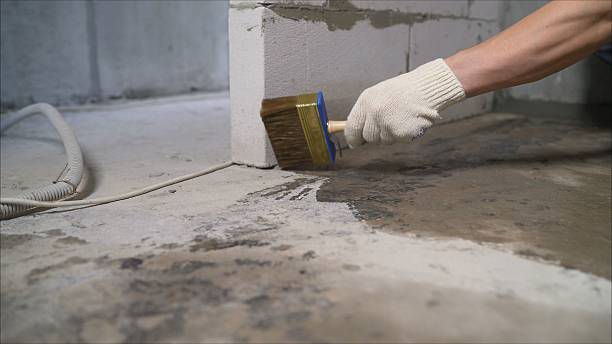 24/7 Emergency Crawl Space Encapsulation experts in Vandalia, MI